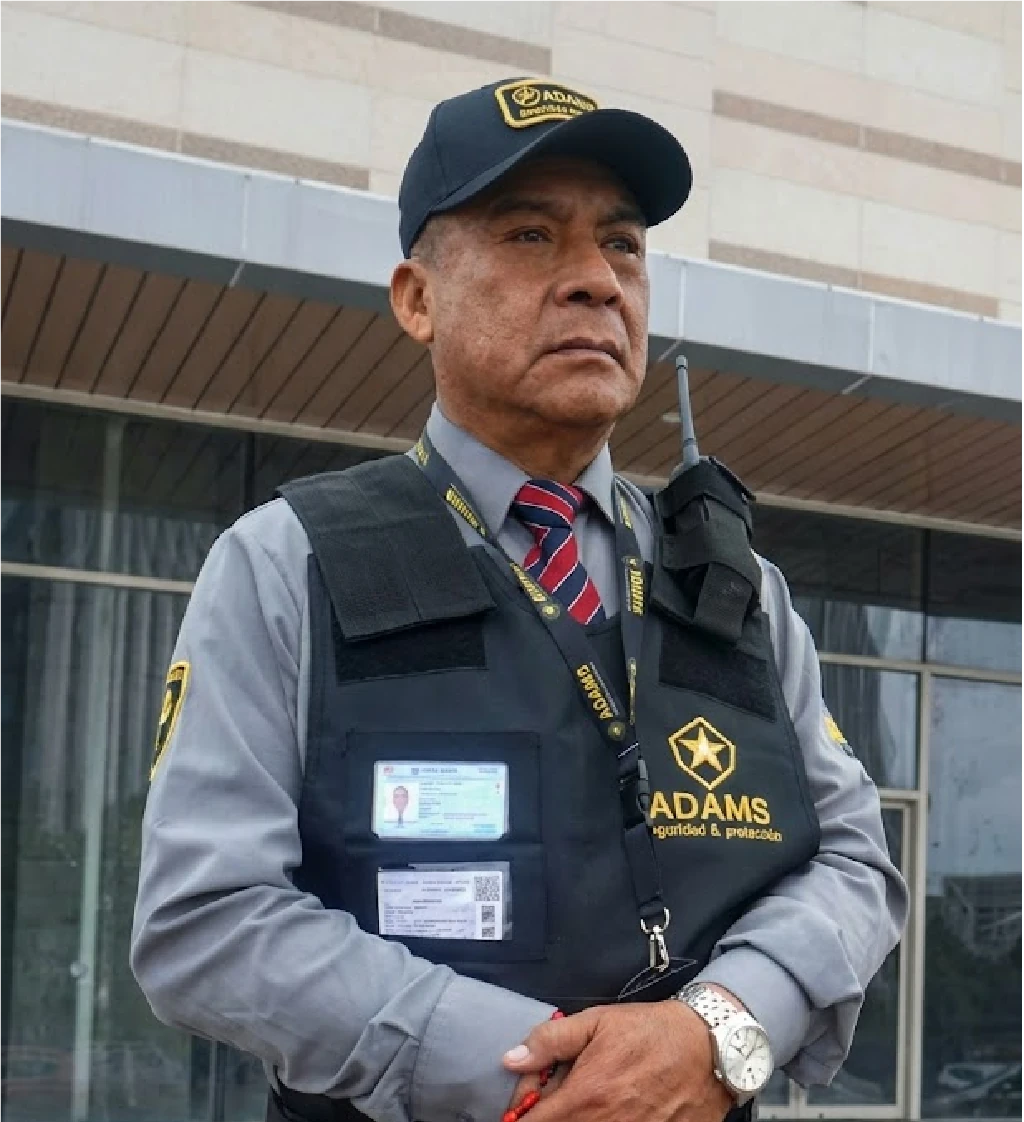 Seguridad y Vigilancia